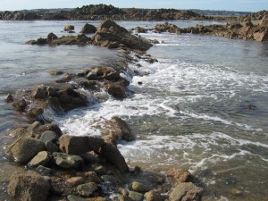 Jersey has one of the bigest tidal ranges in the world