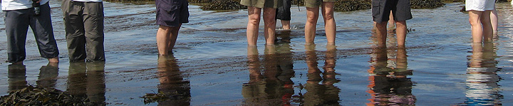 Walking on the seabed