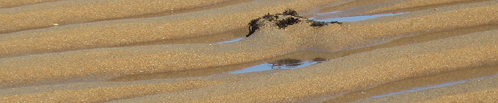 Sandbars at icho tower