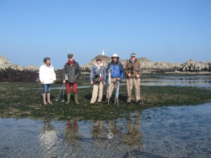 Sea grass at karame beacon jersey on a huge low tide.moonwalks on the seabed