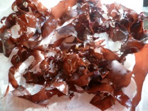 Preparing Dulse for cooking